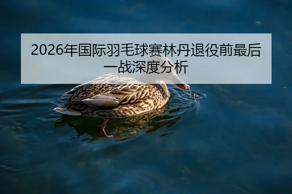 nian-guo-ji-yu-mao-qiu-sai-lin-dan-tui-yi-qian-zui-hou-yi-zhan-shen-du-fen-xi-2-893.jpg