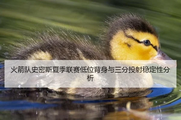 火箭队史密斯夏季联赛低位背身与三分投射稳定性分析